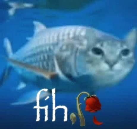 Meme 3